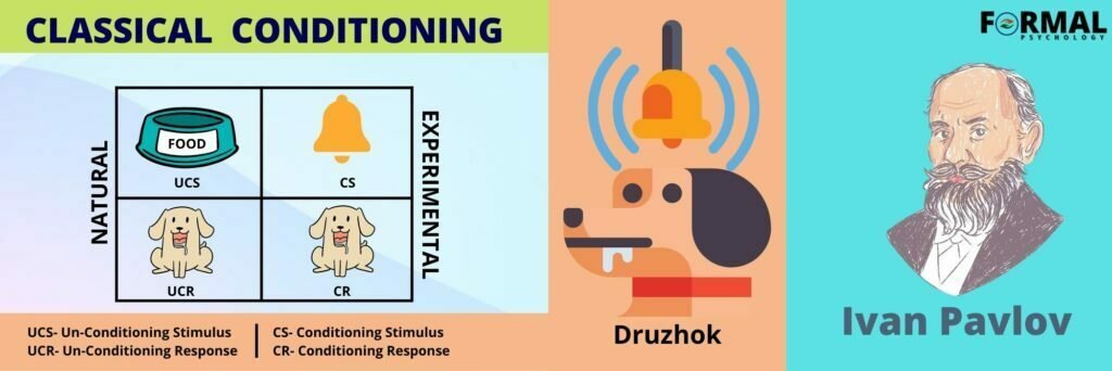 Classical conditioning and Ivan Pavlov