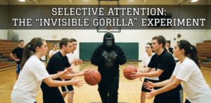 An illustration of the Invisible Gorilla experiment showing a group of people passing basketballs in a gym while a person in a gorilla suit walks unnoticed in the center, demonstrating inattentional blindness.