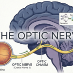 Gemini Generated Image 4kntj64kntj64knt 1